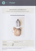 A Paul Fraser Collectibles certificate of authenticity for the item.