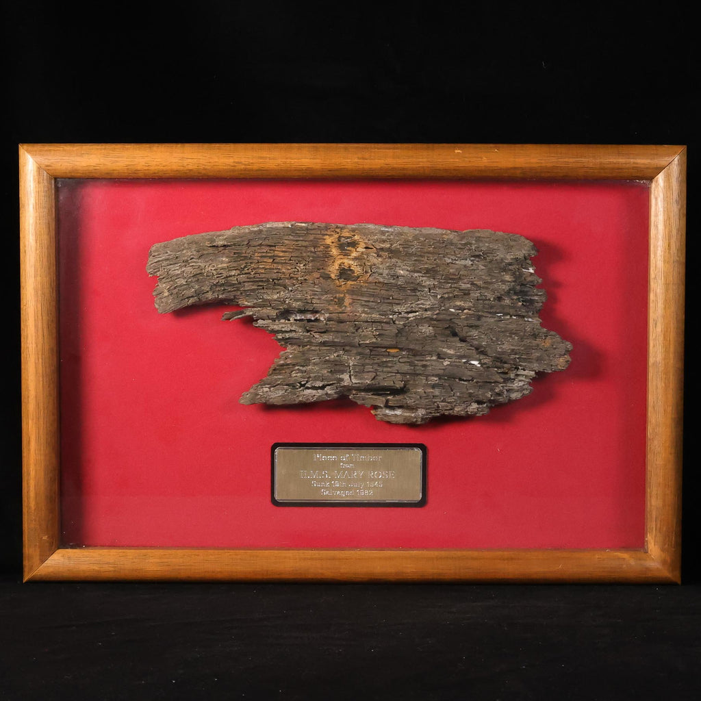 Original Section of Timber from The Mary Rose