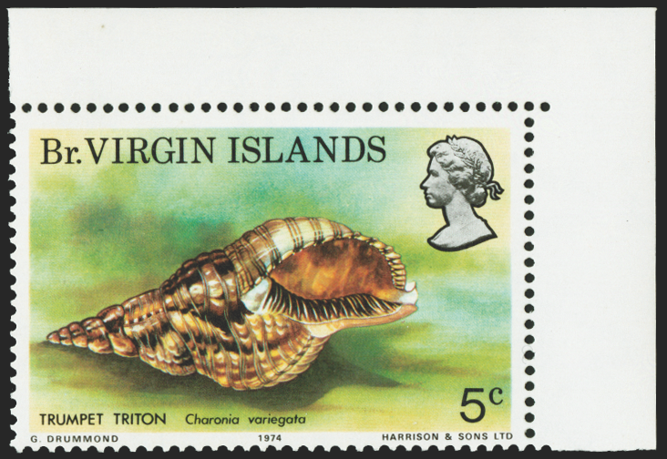 VIRGIN ISLANDS 1974 5c seashell error (UNUSED), SG317a