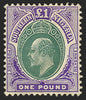SOUTHERN NIGERIA 1904-09 £1 green and violet, SG32ab