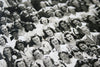 Marilyn Monroe High School Class Photograph 1941