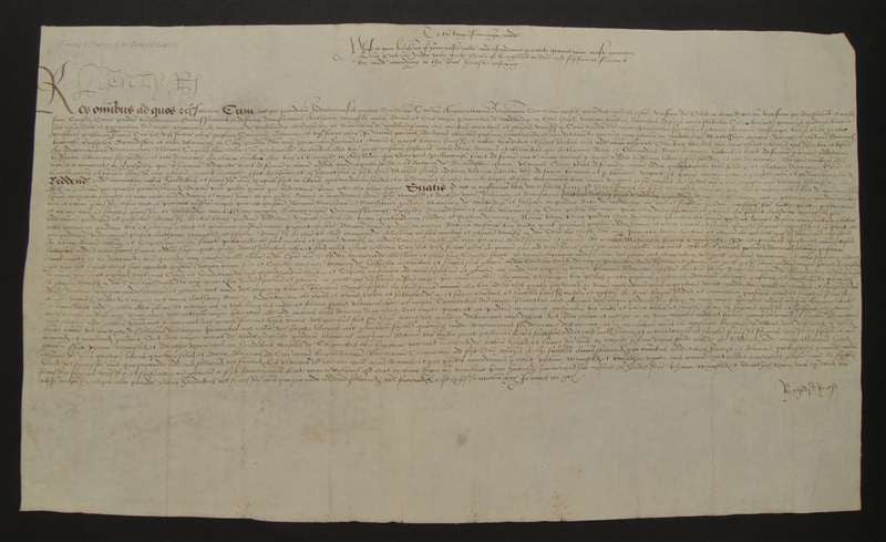 King Henry VIII Autographed Petition