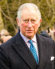 Prince Charles Hair Strand 