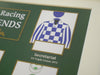 Flat Racing Legends: racehorse hair collection